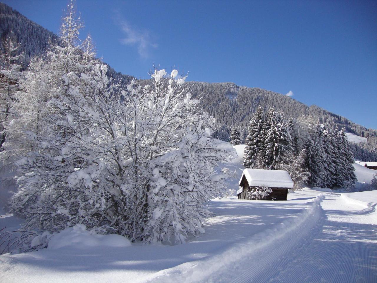 Haus Annemarie Apartments Kartitsch - Hochpustertal Eksteriør bilde