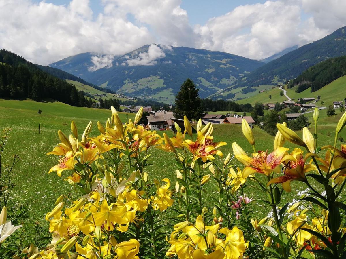 Haus Annemarie Apartments Kartitsch - Hochpustertal Eksteriør bilde